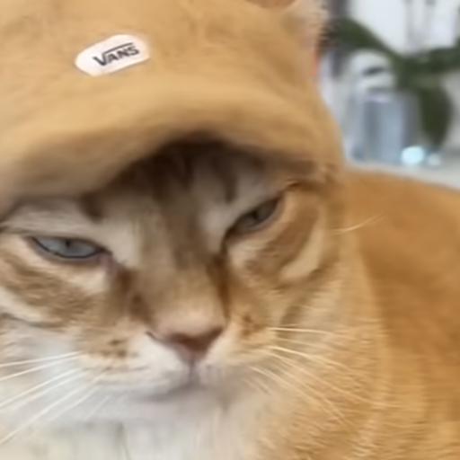 CoffeeManJoe