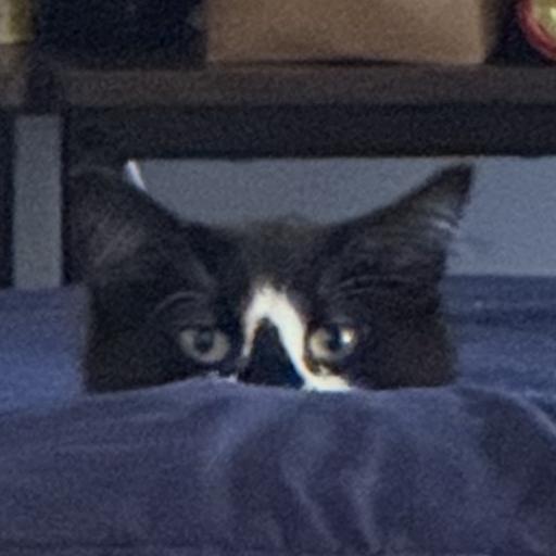 LazyVTer