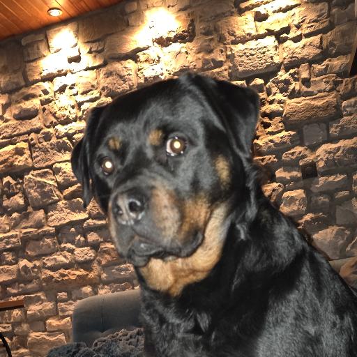 layka699