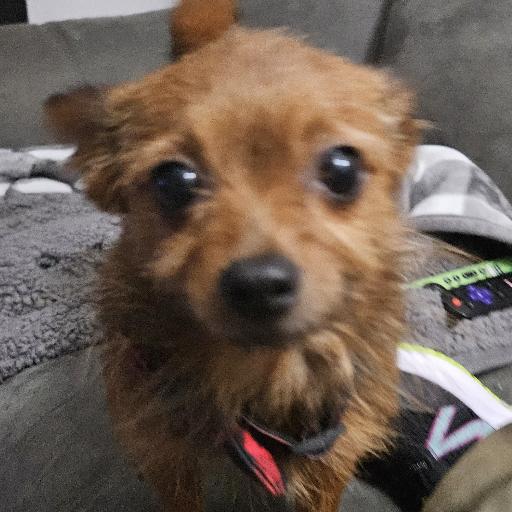 Gurugurl