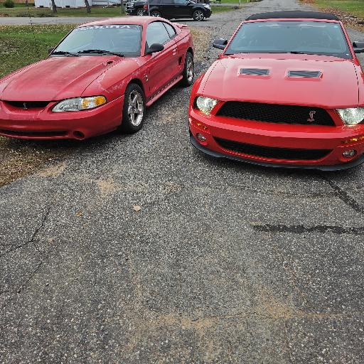 merce07shelby