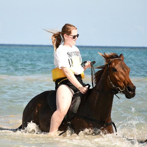Brookestouder