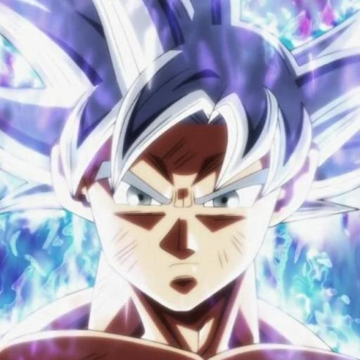 Kakarrot19