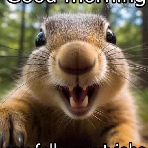 KrazySquirrel