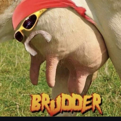 Brudder302
