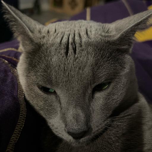 GatesofWrath