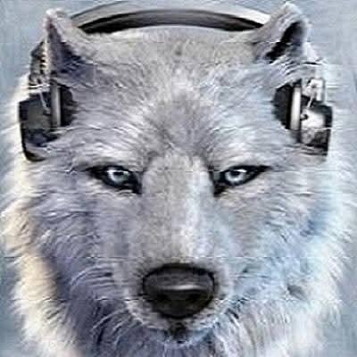 LittleWhiteWolf