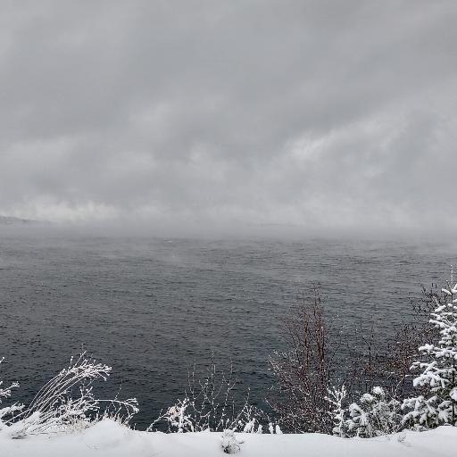 SnowyBayou