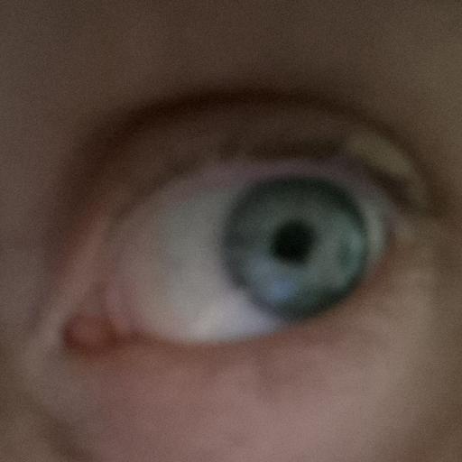 Morganbear