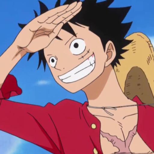 Luffy80