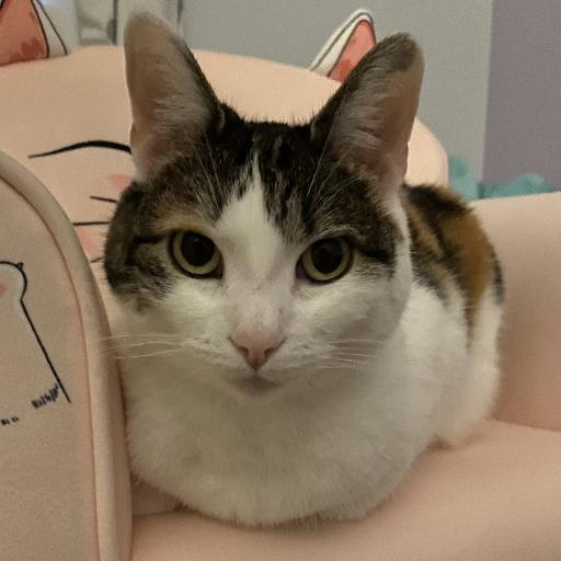 Meowzers
