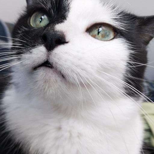 BuryMeAlive