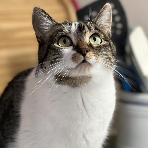 NerkyPipples