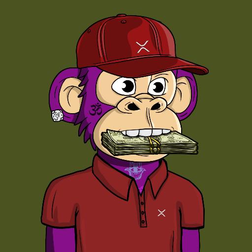 ceoSBGrizzly