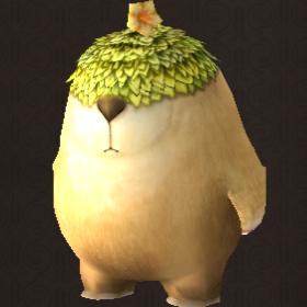 ACORNDUDE