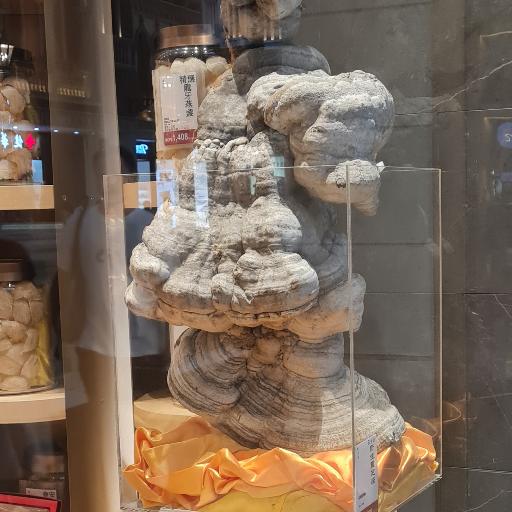 Stoeltje