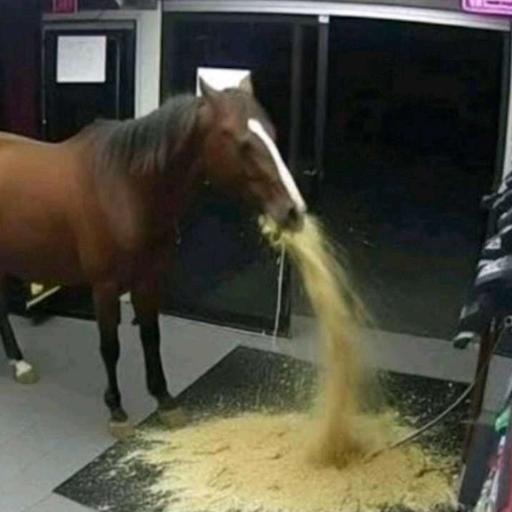 bREaDWINEr