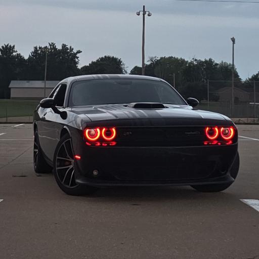 LukewarmColt343