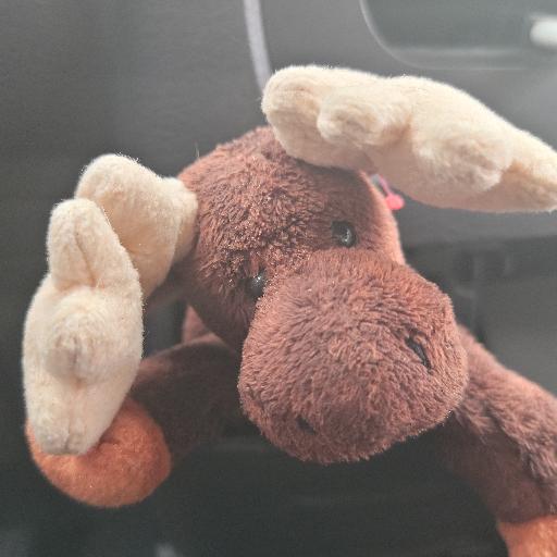 ZeusCombatMoose