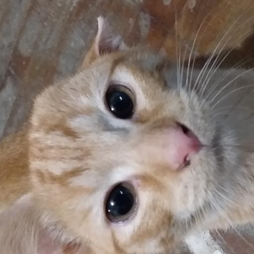 mightyhiccups