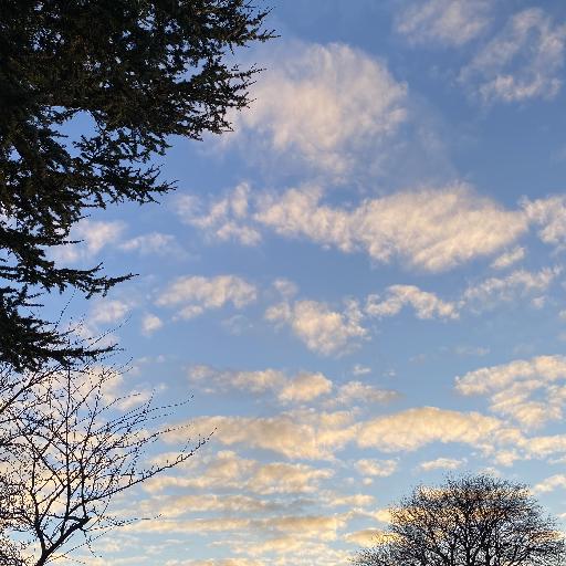 Bluesky01