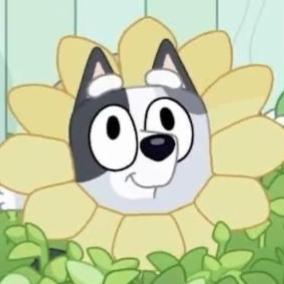 Chuchijuju