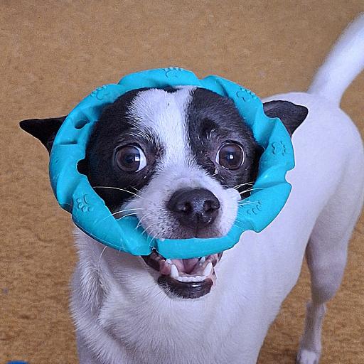 mrpuck