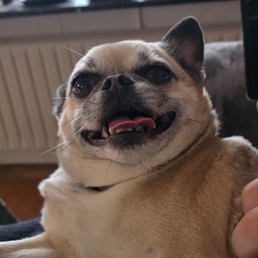 Rufus2018