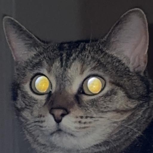 Littlemer