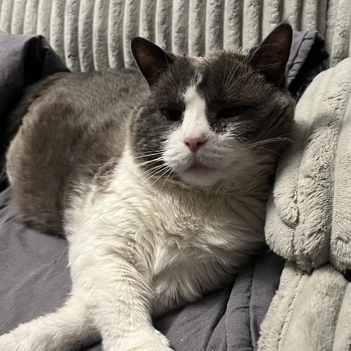 Tootsie_pie