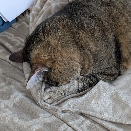 Murdermittens2