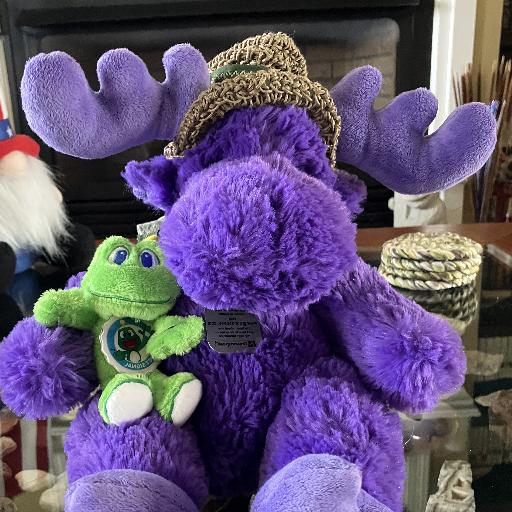 Moosegurl