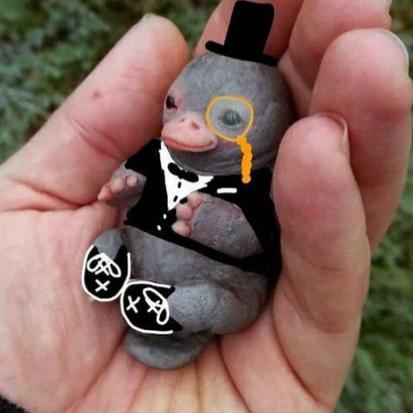 SinfulPlatypus