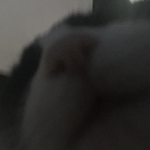 IamPotato4L