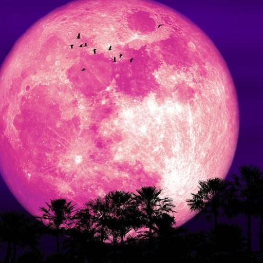 SnowMoon