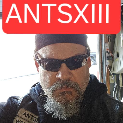 ANTSXIII