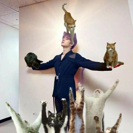 MeowMeowLeeKnow