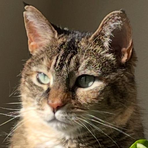 Dircherokee