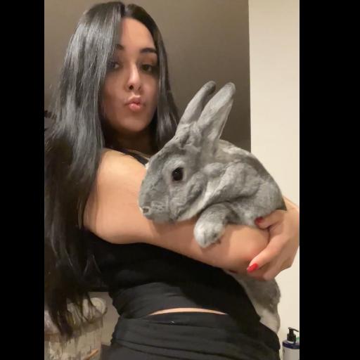 RafaelWabbit