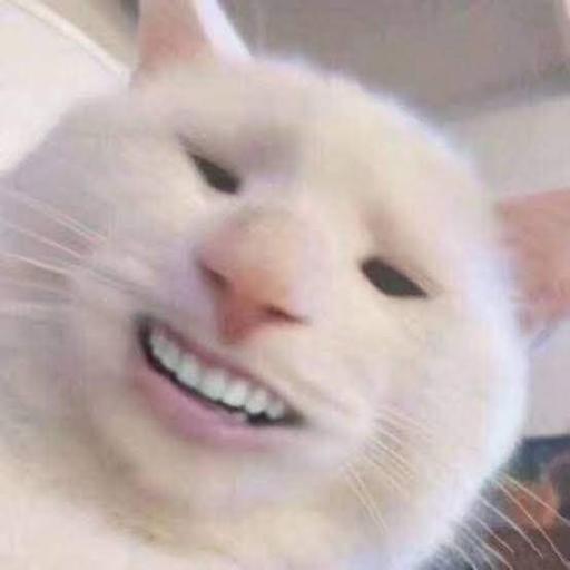 KidneyBeans