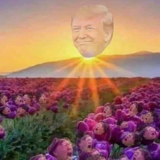 LANDOFMAGA