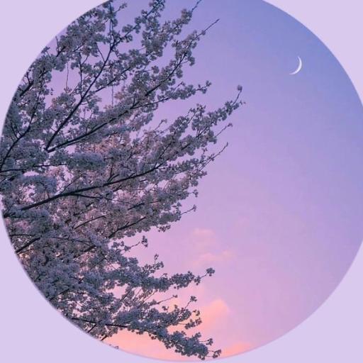 _Sunset_