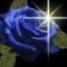 BlueRose64