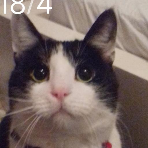 myron1991