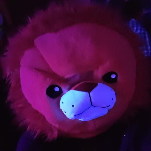 grumpy5307