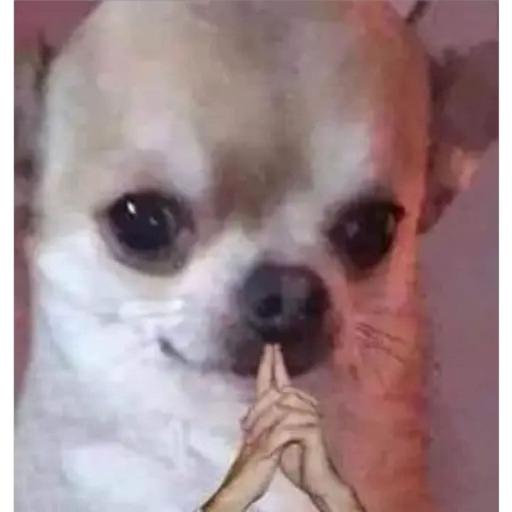 Miguelzv