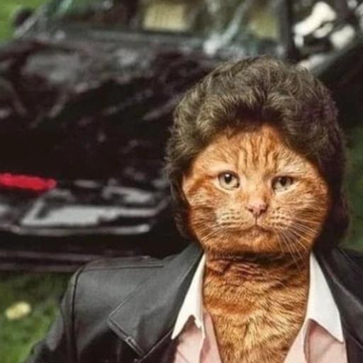 gingerdidine