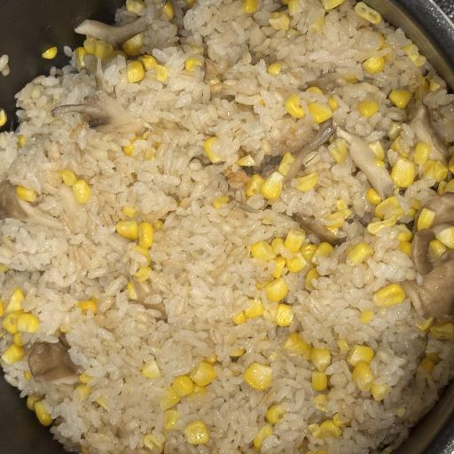FriedRice123
