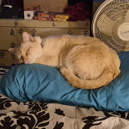 FuzzyDintheAz