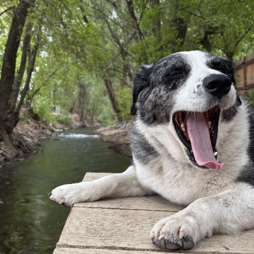 River_Guardian
